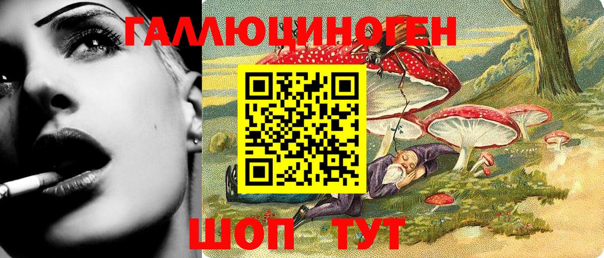 Псилоцибиновые грибы ЛСД  Вход с VPN  Солнечногорск  Псилоцибиновые грибы Psilocybe 